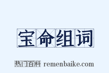 宝命组词是什么意思的图片